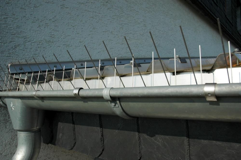 Protection de gouttière Eurospike