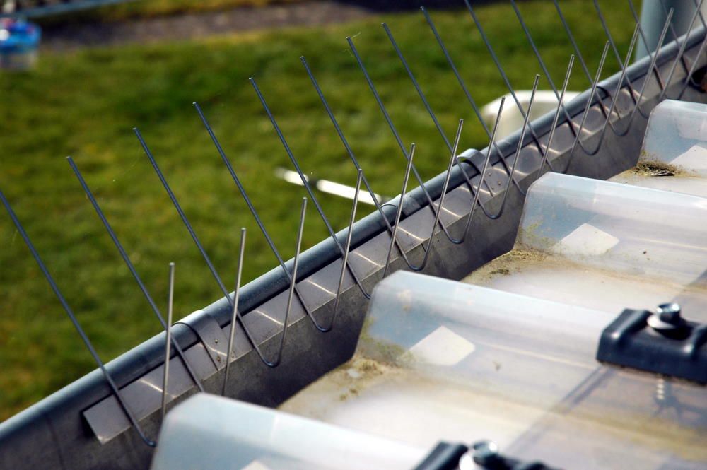 Protection de gouttière Eurospike