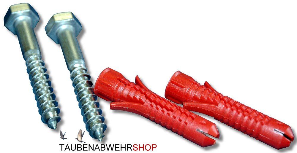 Grille pour choucas à visser 200 x 200 mm